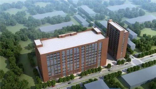 總投資超71億元 東莞這個鎮(zhèn)要爆發(fā)了...